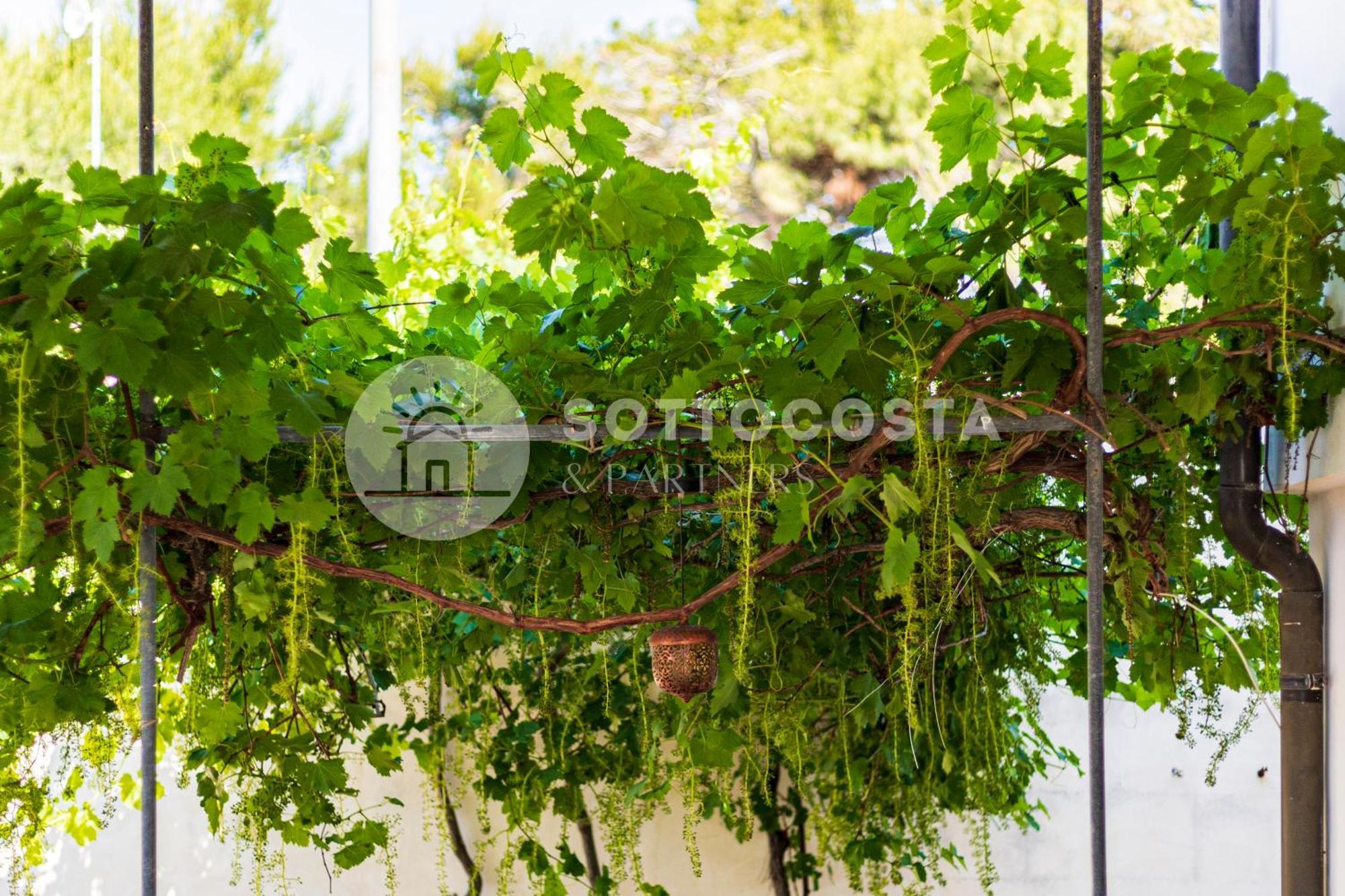 بورتو سيساريو Be Nature المظهر الخارجي الصورة